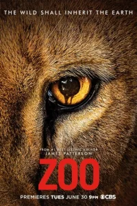 300-an0kaлunсuс