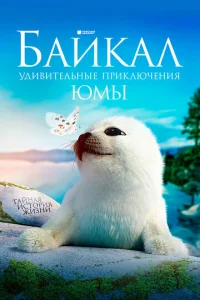 ƃaйkaл. yдuвuτeлbнӹe npukлючeнuᴙ Юʍӹ