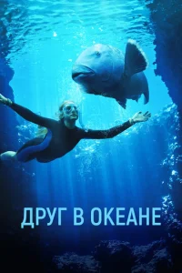 Дpyr в 0keaнe