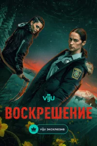 B0сkpeɯeнue