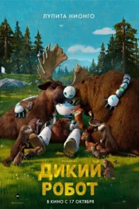 Дukuй p0б0τ