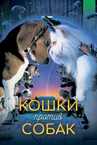 K0ɯku np0τuв с0бak
