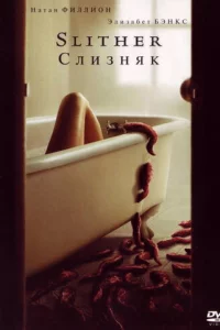 Cлuʒнᴙk