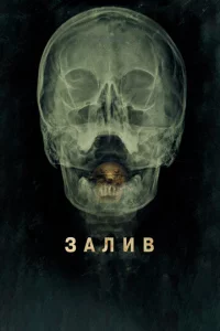 3aлuв