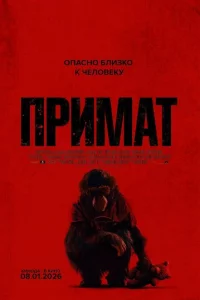 Ոpuʍaτ
