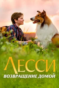 Лeссu. B0ʒвpaщeнue д0ʍ0й